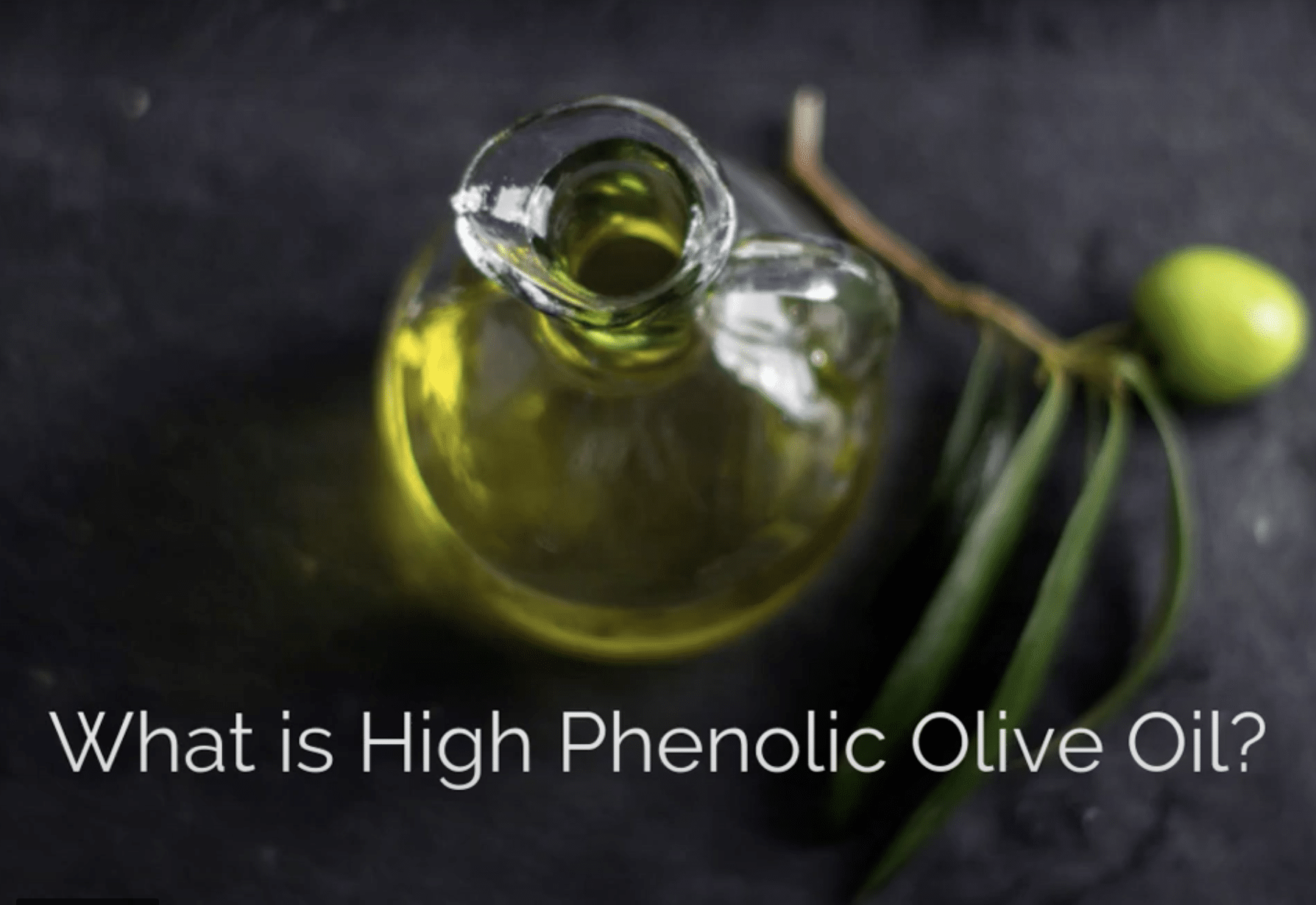 What is High Phenolic Olive Oil? Constantin Potou